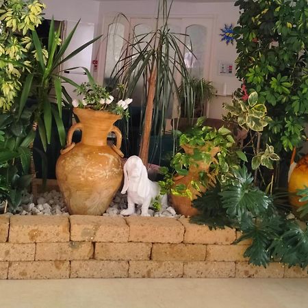 Hotel De Amicis Ричоне Екстериор снимка